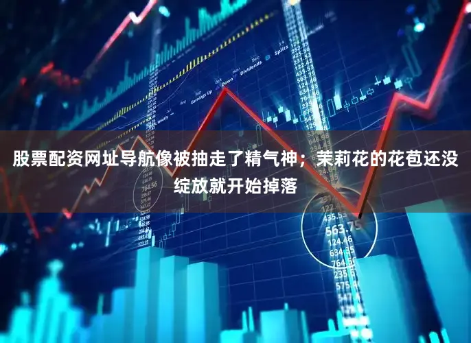 股票配资网址导航像被抽走了精气神；茉莉花的花苞还没绽放就开始掉落