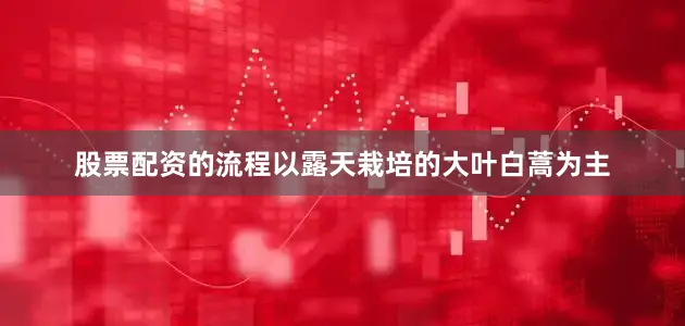 股票配资的流程以露天栽培的大叶白蒿为主