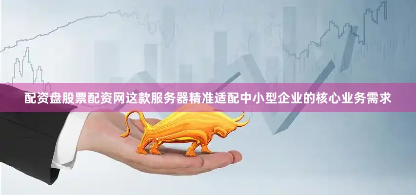 配资盘股票配资网这款服务器精准适配中小型企业的核心业务需求
